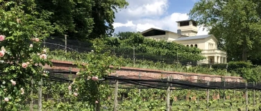 Event-Image for 'Geschichte, Literatur und Wein im Weltkulturerbe'