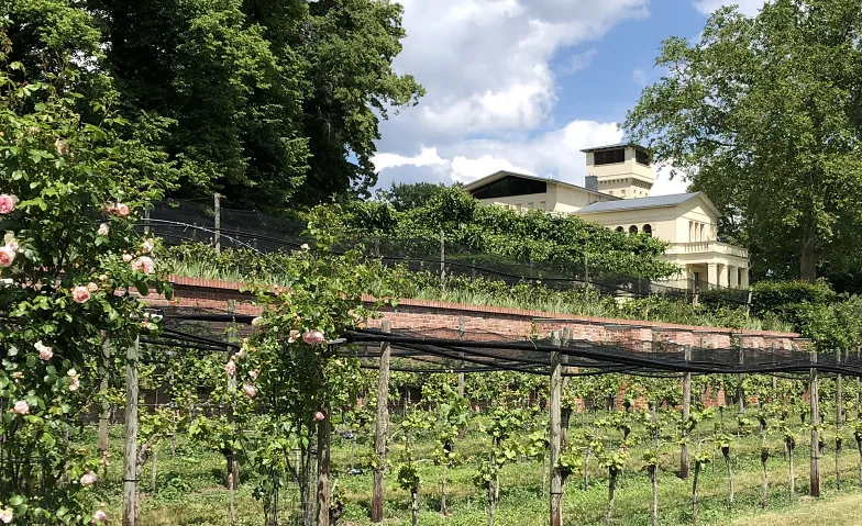 Geschichte, Literatur und Wein im Weltkulturerbe
