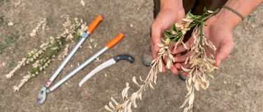 Event-Image for 'Praktische Gartentipps: Antworten auf den heissen Sommer'