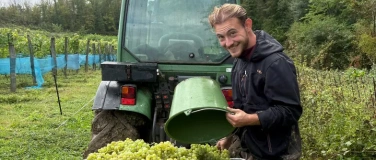 Event-Image for 'Wein & Winzer: Weingut Schreiberlay an der Lahn'