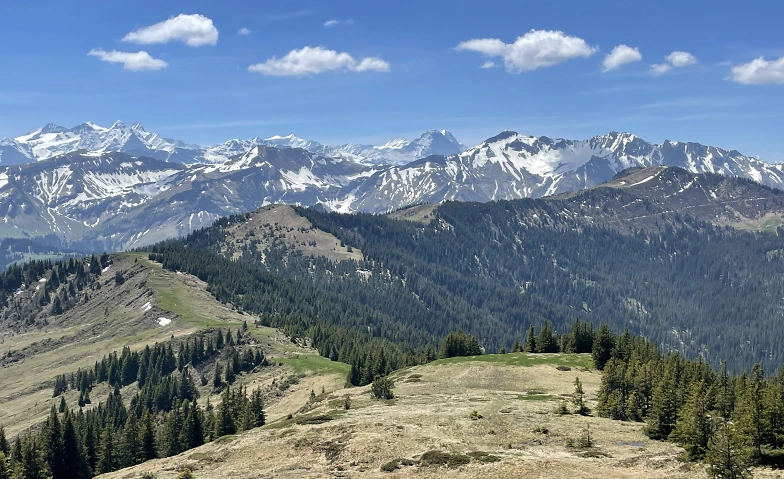 Event-Image for '&bdquo;Moor & Schratten&ldquo; 2 Tage Wanderung'
