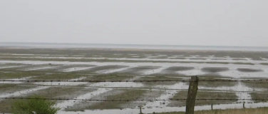 Event-Image for 'V&ouml;gel und Landschaften am Wattenmeer Nordfriesland'