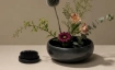 Ikebana Workshop: 10. Oktober - 13.30 Uhr