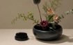 Ikebana Workshop: 11. Oktober - 13.30 Uhr