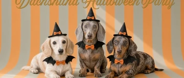 Event-Image for 'Dachshund Halloween Party'
