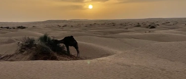 Event-Image for 'Vivez comme les b&eacute;douins dans le d&eacute;sert tunisien'