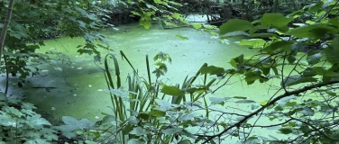 Event-Image for 'Fotoworkshop - K&uuml;nstlerische Landschaftsfotografie im Park'