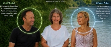 Event-Image for 'Das intelligente Nervensystem - Deine Aufmerksamkeit'