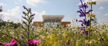 Event-Image for 'Nachbarschaftsfest an der Umweltstation'
