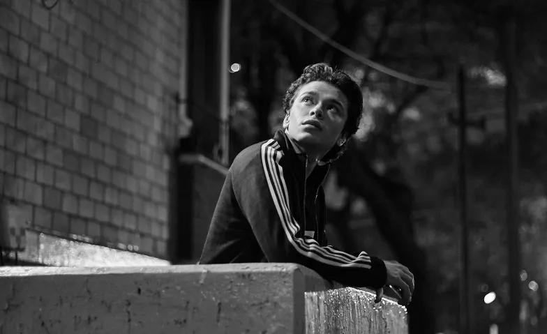 Queersicht 2026: Gay Longs, Cinema / Film Festival, Kino Rex 1
