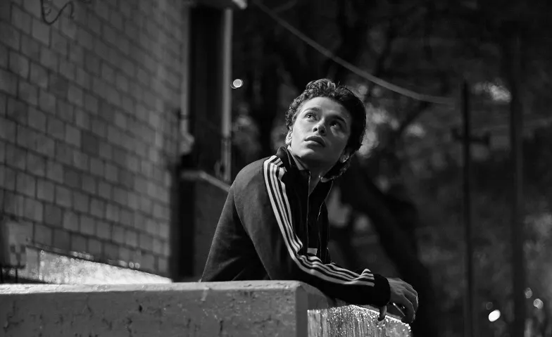 Queersicht 2026: Gay Longs, Kino / Filmfestival, Kino Reitschule