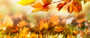 Event-Image for 'Herbstmarkt der Caritas-Werkstatt L&uuml;dinghausen'
