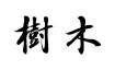 Jumoku &ndash; Musik und B&auml;ume