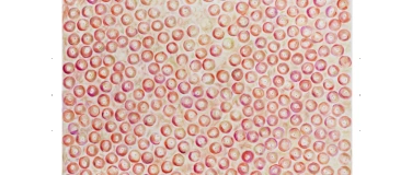 Event-Image for 'Jutta Koether  F&uuml;hrung'