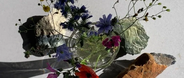 Event-Image for 'Schl&auml;mmereien und Augenweiden'