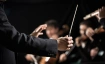 &bdquo;Scary Concert&ldquo; des Haydn-Orchesters Dresden