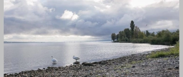 Event-Image for 'Kreuzlingen sucht den sch&ouml;nsten Kieselstein &ndash; Familiensonnta'
