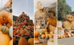 K&uuml;rbisscheune bei Papes Gem&uuml;segarten