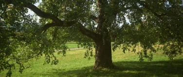Event-Image for 'Europaw&auml;ldli'