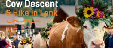 Event-Image for 'Cow Descent and Hike in Lenk'