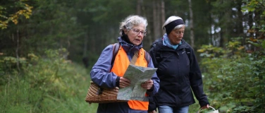 Event-Image for 'Leuchtende Pilze'