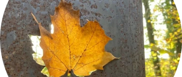 Event-Image for 'Einf&uuml;hrung und Infos zum Jahreskurs Auszeit & Natur'