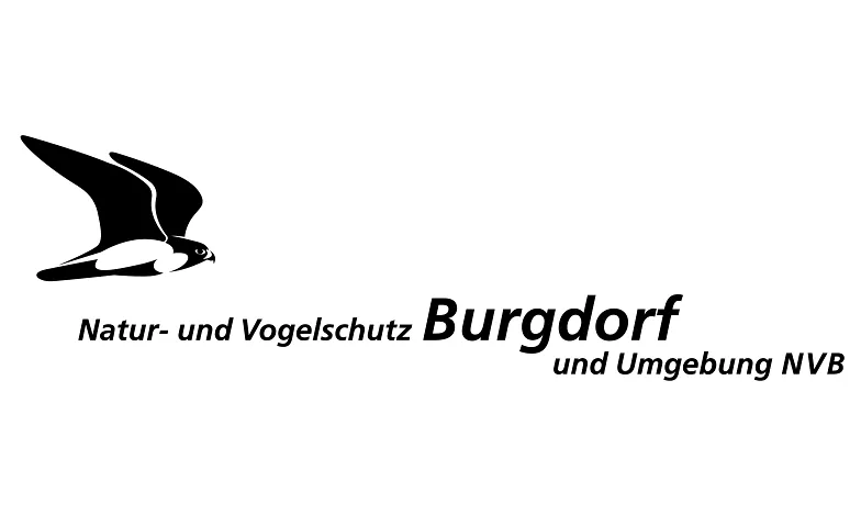 Burgdorf und die letzte Eiszeit - von Christian Schlüchter, Guided tours & lectures / Lecture, Kirchgemeindehaus Burgdorf