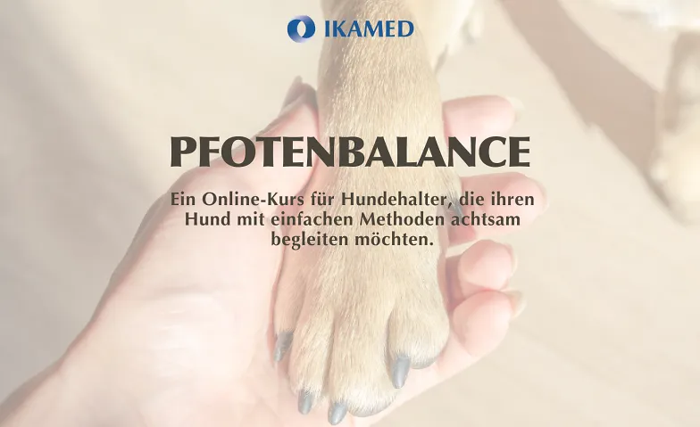 Event-Image for 'PfotenBalance &ndash; Onlinekurs f&uuml;r Mensch & Hund'