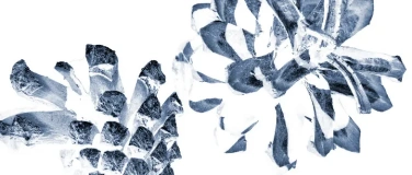 Event-Image for 'Meditation im Winterwald'
