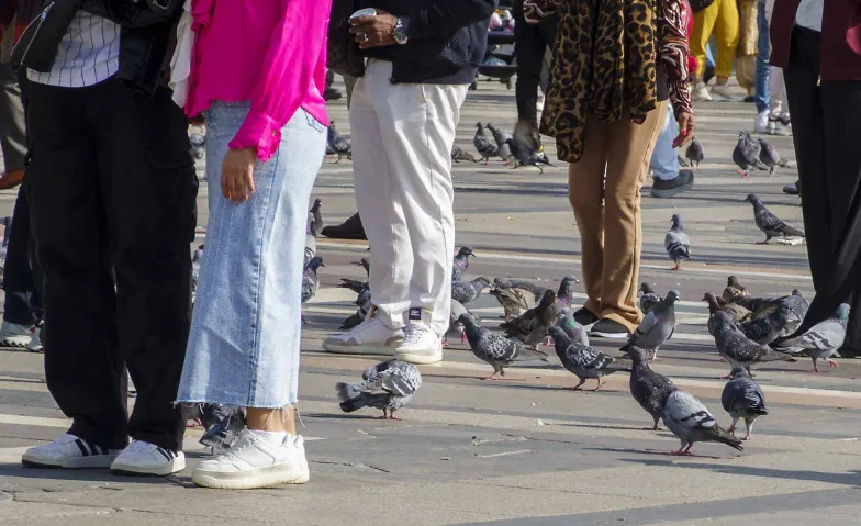 Menschen fotografieren im Abendlicht
