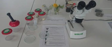 Event-Image for 'Entdecke die Mikrowelt'