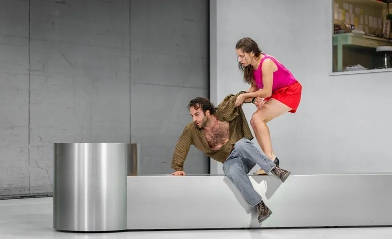 Die Möwe