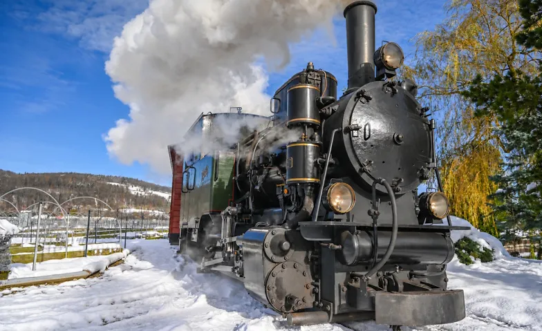 Adventsdampf mit Raclette, Freizeit & Ausflüge / Ausfahrt, Verein Schinznacher Baumschulbahn