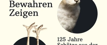 Event-Image for 'F&uuml;hrung durch die Sonderausstellung'
