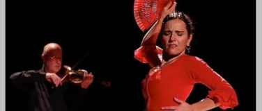 Event-Image for 'Musik-Matinée mit Bettina Castano'