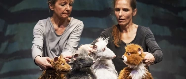 Event-Image for 'Die Muskeltiere &ndash; Einer f&uuml;r alle, alle f&uuml;r einen!'