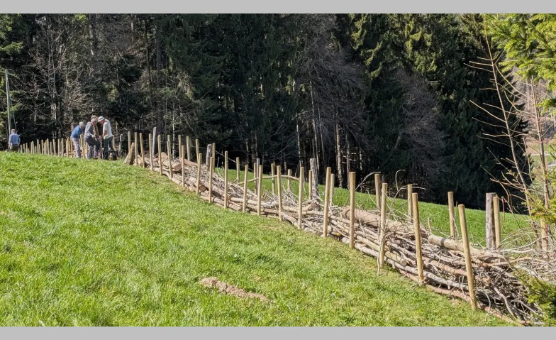 Natur verbindet – Benjeshecke in Trogen