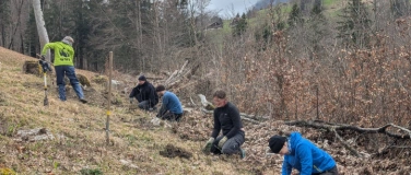 Event-Image for 'Natur verbindet &ndash; Heckenpflanzung auf dem Hof Wannenwis'