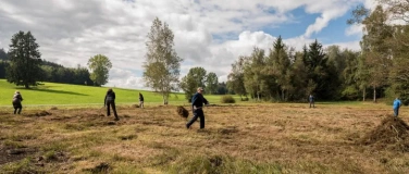 Event-Image for 'Natur verbindet - Pflegeeinsatz im Schutzgebiet Arnegger Wit'