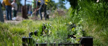 Event-Image for 'Natur verbindet &ndash; Ruderalfl&auml;che anlegen'