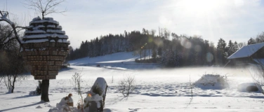Event-Image for 'Natur verbindet &ndash; Wir pflanzen einen Wald der Zukunft'