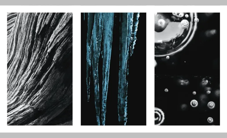 Natural Grown Abstract