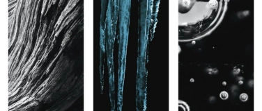 Event-Image for 'Natural Grown Abstract'