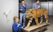 Wissen-Saft &ndash; Auf ein Glas mit &hellip; Tiger Igor