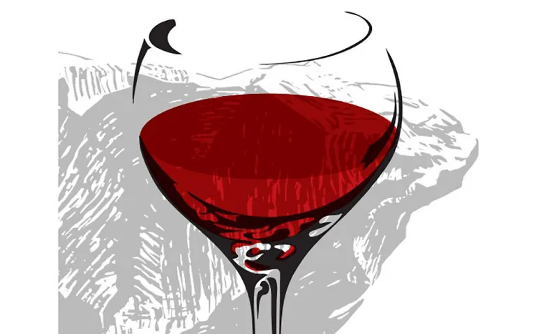 Vortrag und Degustation «Wieviel Stein ist im Wein?», Führungen & Vorträge / Vortrag, Haus der Museen