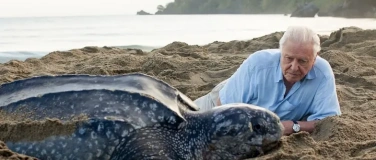 Event-Image for 'Schulvorstellung - Ocean mit David Attenborough'