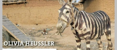 Event-Image for 'Olivia Heussler - Von Zeit zu Zeit 2.0'