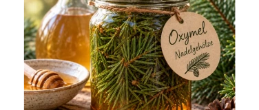 Event-Image for 'Oxymel - ein vergessenes Pflanzenelixir'