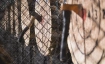 Axtwerfen Studi-Tag bei WoodCutter