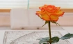 Einf&uuml;hrungskurs in die Lehre des Goldenen Rosenkreuzes